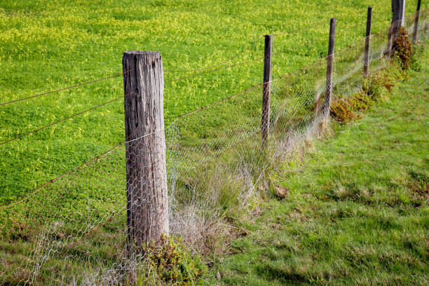 istock old rural fence in field 1411705153