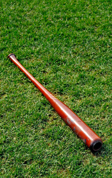 istock Wooden Brown Baseball Bat on Grass 1411707018