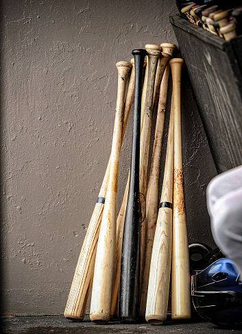 A grouping of wooden baseball bats lie ready for use in a baseball game.