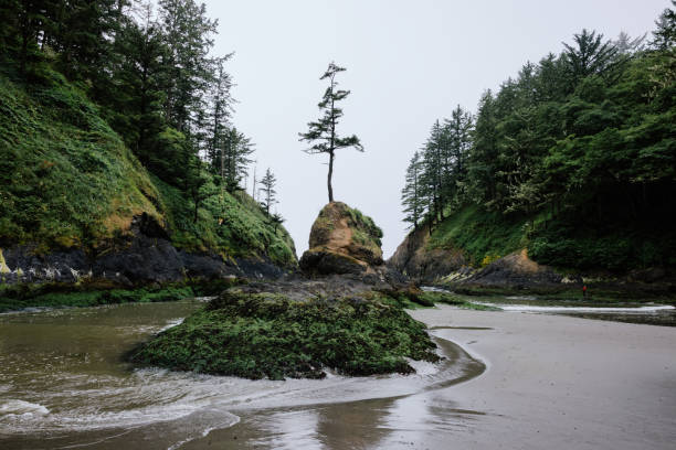 istock Dead Man’s Cove in Washington State 1411714111