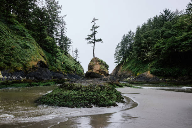 Dead Man’s Cove in Washington State stock photo