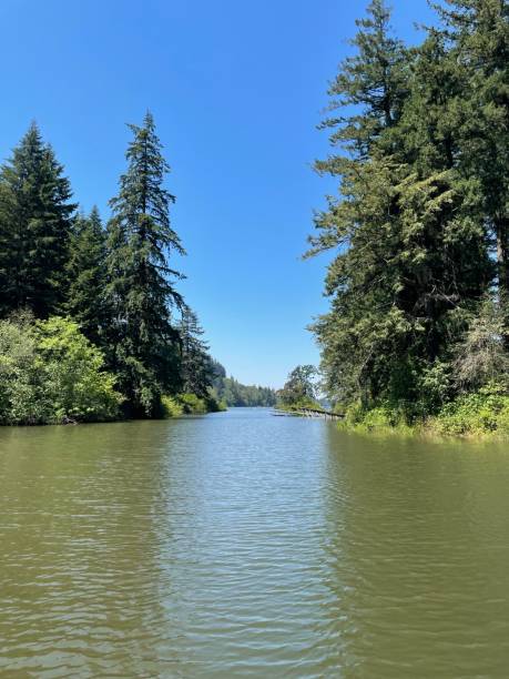 istock Paddle boarding on Lake Lacamas 1411714134