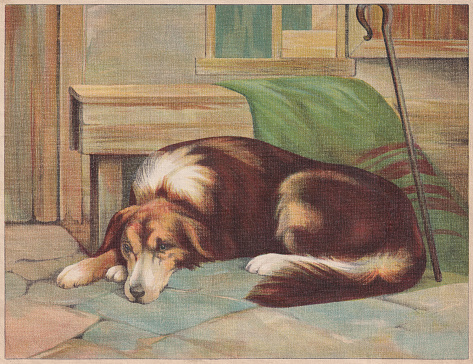 Dog. Chromolithograph, published  ca. 1898.