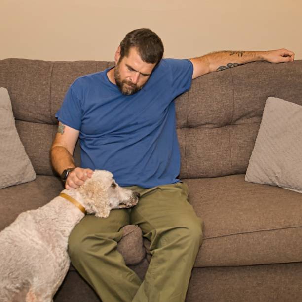 istock Standard Poodle Resting His Head on His Human 1411718826