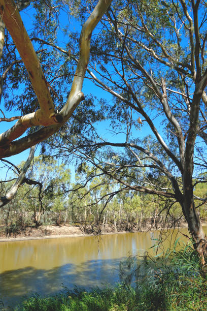 istock Swan Hill, Victoria, Australia 1411718861