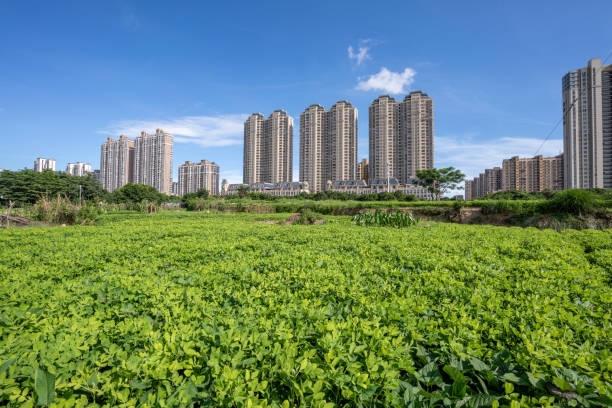 istock Green space and modern architecture under the blue sky 1411724767
