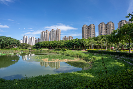 Green space in urban parks, streams and urban buildings on the side