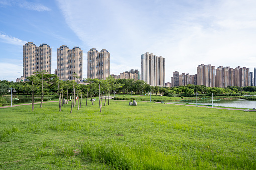Green space in urban parks and urban buildings in the distance