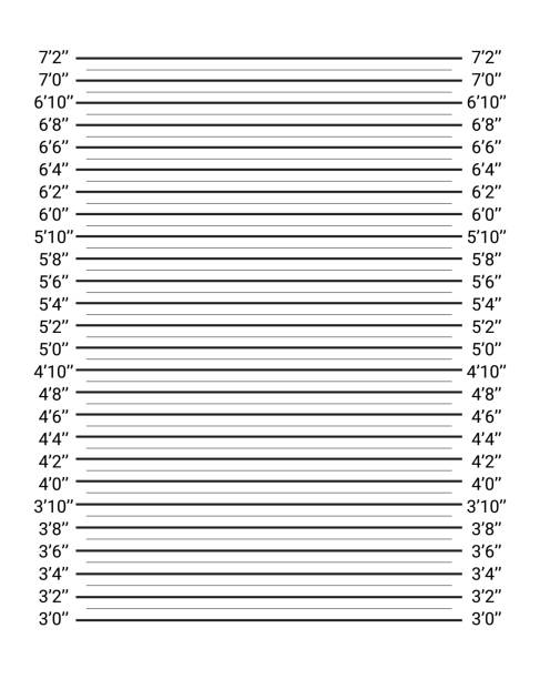 Identification frame for crime arrest. Mug shot criminal background with inches scale. Wall measurements template Identification frame for crime arrest. Mug shot criminal background with inches scale. Wall measurements template for police wanted. Mugshot board. Lineup backdrop. Vector illustration. lineup stock illustrations