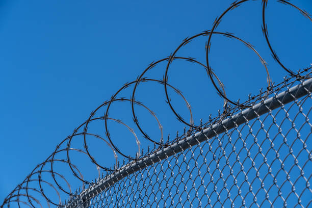 istock Fence with razor wire with blue sky in background. 1411728621