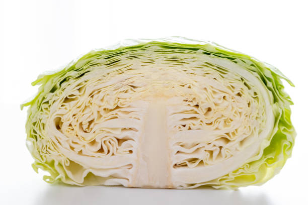 Cross section of cabbage cut in half