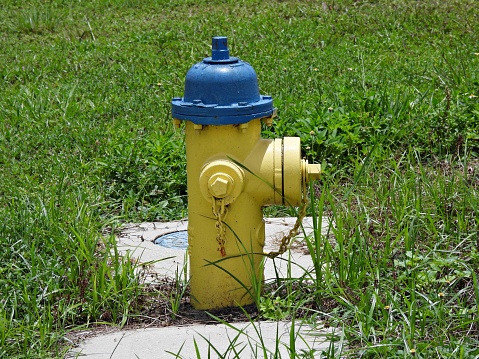Colorful fire hydrant in the grass