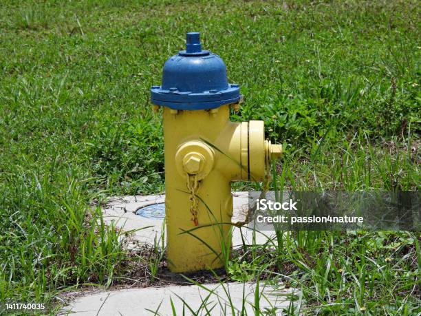 Yellow And Turquoise Fire Hydrant Stock Photo - Download Image Now - Fire Hydrant, Color Image, Fire - Natural Phenomenon