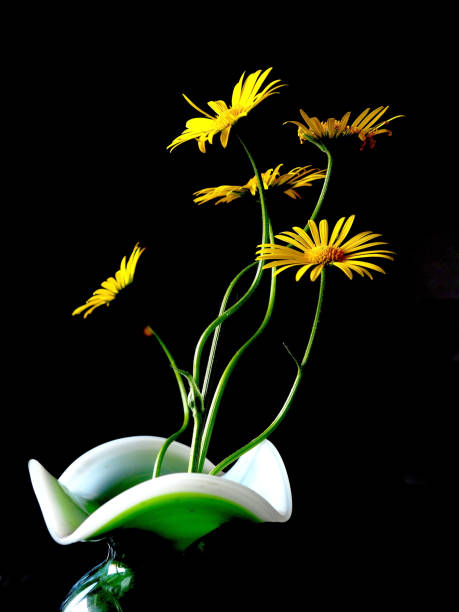 istock yellow heliopsis in a vase on the table 1411741020