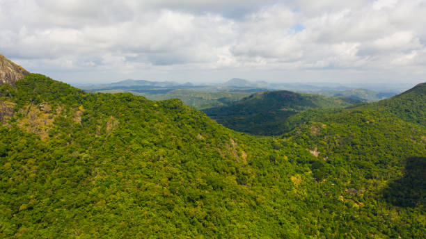 istock Tropical mountain range and mountain slopes with rainforest. Sri Lanka. 1411743001