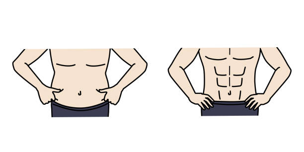 Man abdominal muscles and fat Clip art of Man abdominal muscles and fat. before and after weight loss man stock illustrations