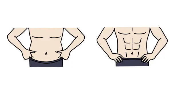 Vector illustration of Man abdominal muscles and fat