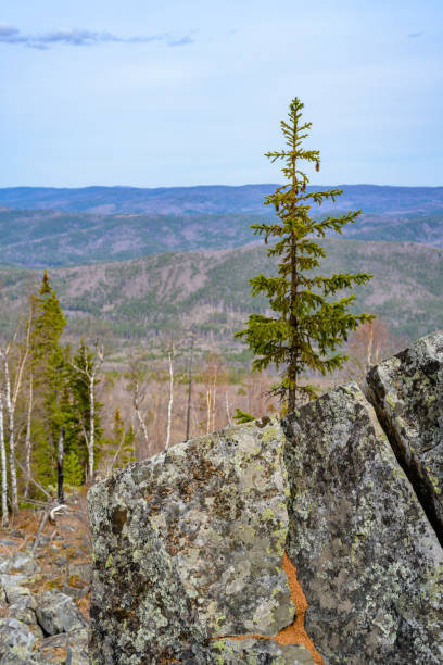 South Ural Mountains with a unique landscape, vegetation and diversity of nature. South Ural Mountains with a unique landscape, vegetation and diversity of nature in spring. south ural stock pictures, royalty-free photos & images