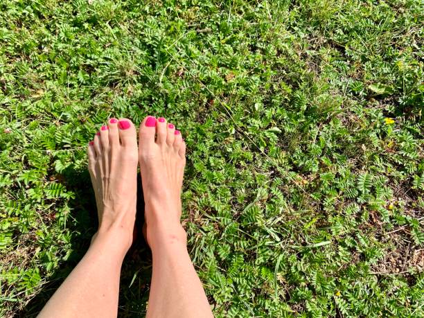 Female feet on the grass. Copy space