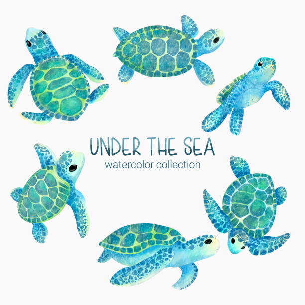 istock Marine Life Cute element Animal Life in under sea. Underwater animal creature and turtle 1411757733