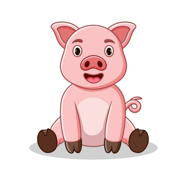 ilustrações de stock, clip art, desenhos animados e ícones de cartoon funny baby pig sitting - domestic pig