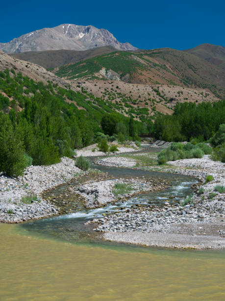 istock Clear water flowing from the mountains 1411761895