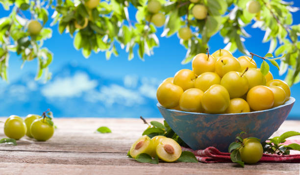 istock A bowl of yellow plums 1411761924