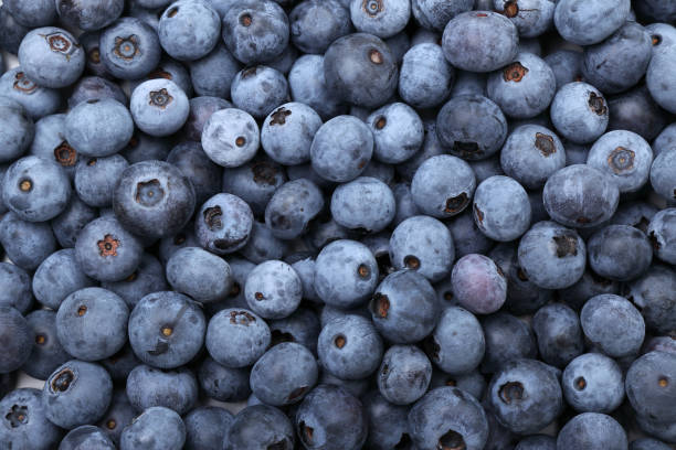 istock Fresh blueberry background. Texture blueberry close-up. 1411762707