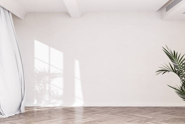 istock Abstract white studio background for product presentation empty room with shadows of window and flowers and palm leaves 3d room with copy space summer concert blurred backdrop. 1411764566