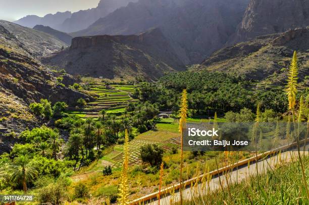 Beauty Of Bilad Sayt Sultanate Of Oman Stock Photo - Download Image Now - Agricultural Field, Agriculture, Ancient