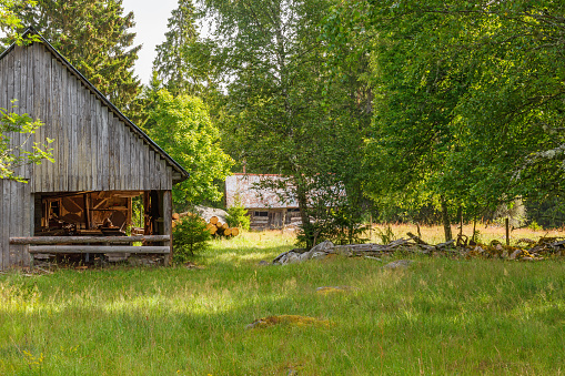 Old sawmill and shed in a meadow in the forest