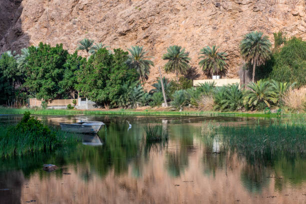 wadi al shab , sułtanat omanu. - oasis wadi al shab valley canyon zdjęcia i obrazy z banku zdjęć