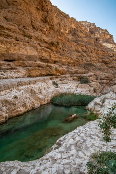 wadi al shab , sułtanat omanu. - oasis wadi al shab valley canyon zdjęcia i obrazy z banku zdjęć