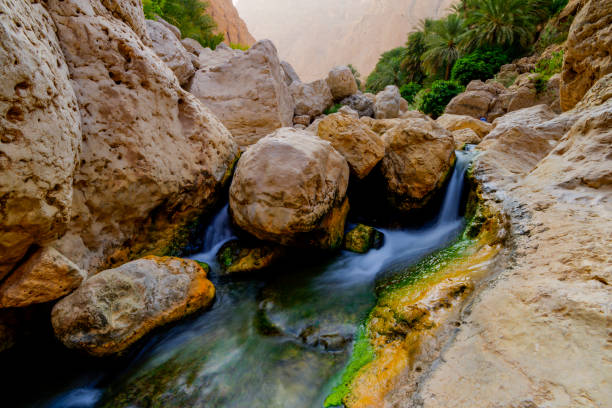 wadi al shab , sułtanat omanu. - oasis wadi al shab valley canyon zdjęcia i obrazy z banku zdjęć