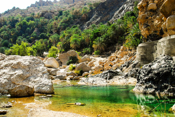 wadi al shab , sułtanat omanu. - oasis wadi al shab valley canyon zdjęcia i obrazy z banku zdjęć