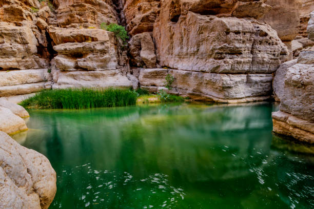 wadi al shab , sułtanat omanu. - oasis wadi al shab valley canyon zdjęcia i obrazy z banku zdjęć