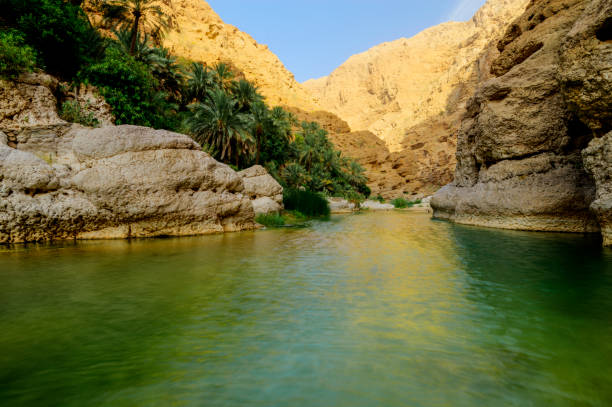 wadi al shab , sułtanat omanu. - oasis wadi al shab valley canyon zdjęcia i obrazy z banku zdjęć