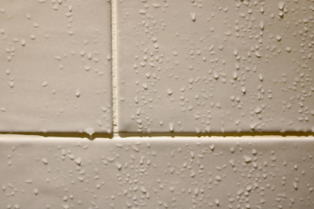 istock Wet shower tiles 1411772899