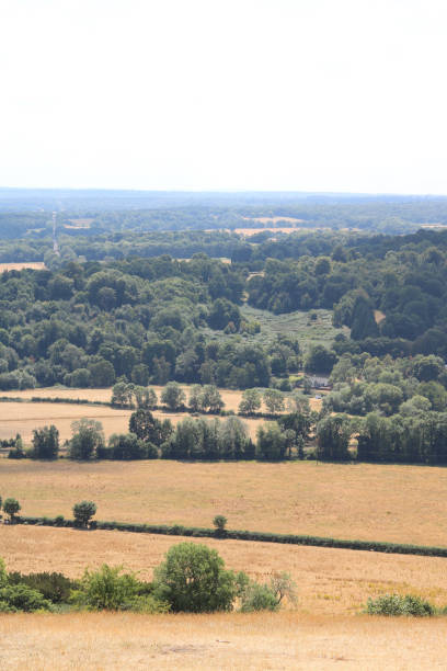 istock Vertical view of English countryside 1411773669