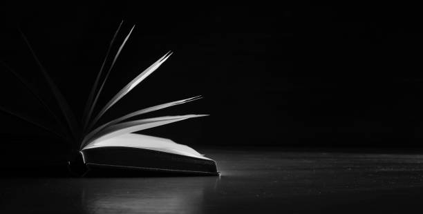 Open book close up, black and white, reading, education, knowledge concept.