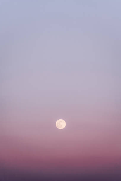istock Supermoon, Moon in pink sky 1411774070