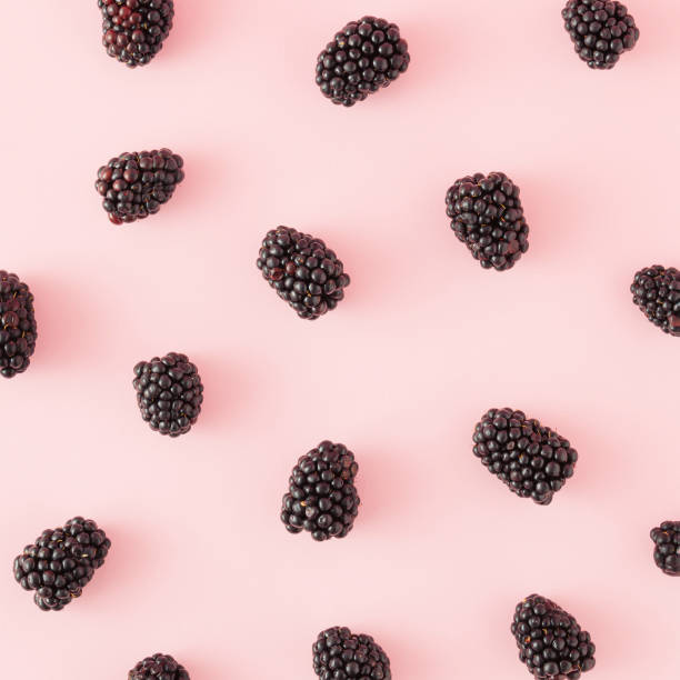 istock Creative minimal pattern made of ripe blackberries on a pink background. Minimal flat lay concept. Summer, berries and fruit inspiration. 1411774112