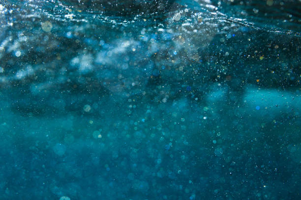 istock Underwater shot in deep blue tropical sea. 1411783728