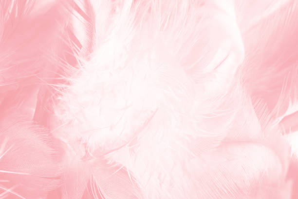 istock Coral Pink vintage color trends feather texture background 1411786393