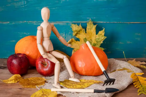 Photo of toy gardener with tools next to a pumpkin