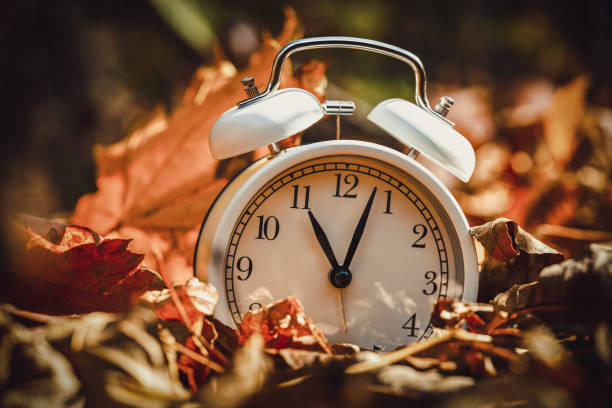 istock alarm clock on autumn leaves on natural background 1411787788