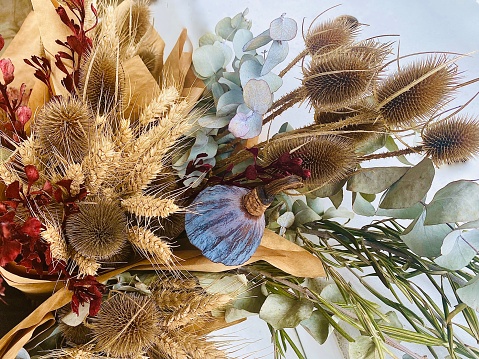 Horizontal dried flower arrangement with eucalyptus leaves wheat and Australian native bush wildflowers growing in Northern Rivers NSW Australia