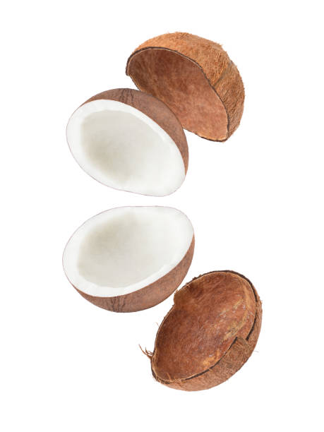 istock brown coconut flying in the air isolated on white 1411788785