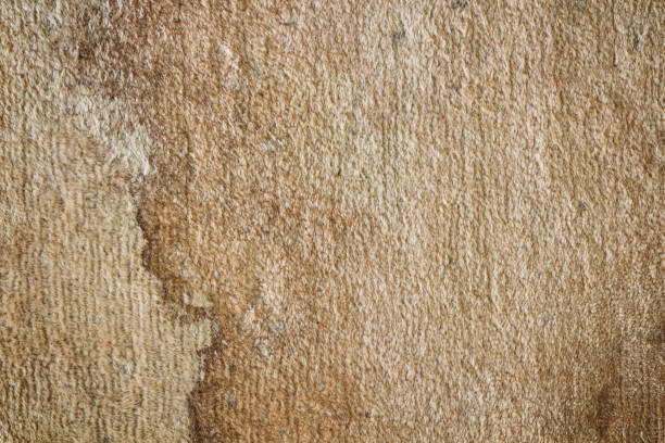 istock The texture of old carpet doormat with stain 1411788912