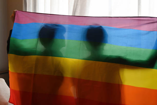 Behind view and silhouette of Pride young gay couple with hands raised and the LGBT flag, LGBT, pride, relationships and equality concept Behind view and silhouette of Pride young gay couple with hands raised and the LGBT flag, LGBT, pride, relationships and equality concept marriage equality stock pictures, royalty-free photos & images